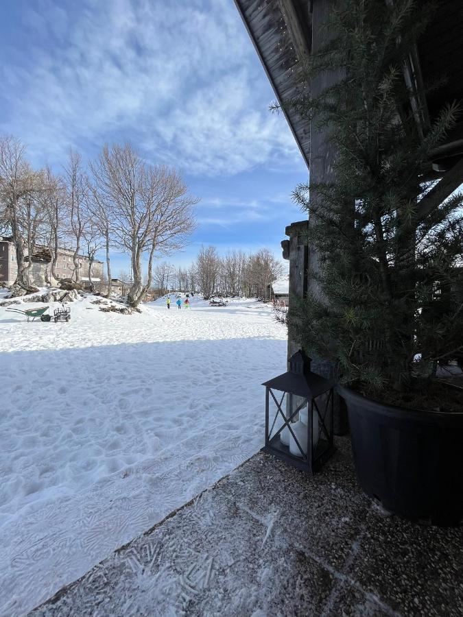 Chalet Burja At Vogel Mountain - Cable Car Access Or Hiking - Not Reachable With Car 보히니 외부 사진