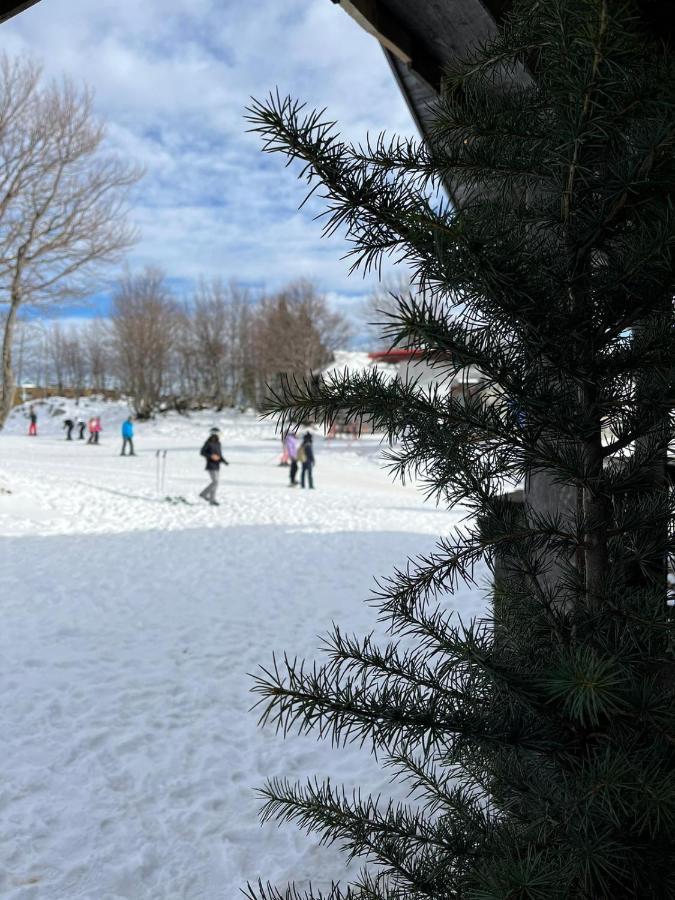 Chalet Burja At Vogel Mountain - Cable Car Access Or Hiking - Not Reachable With Car 보히니 외부 사진