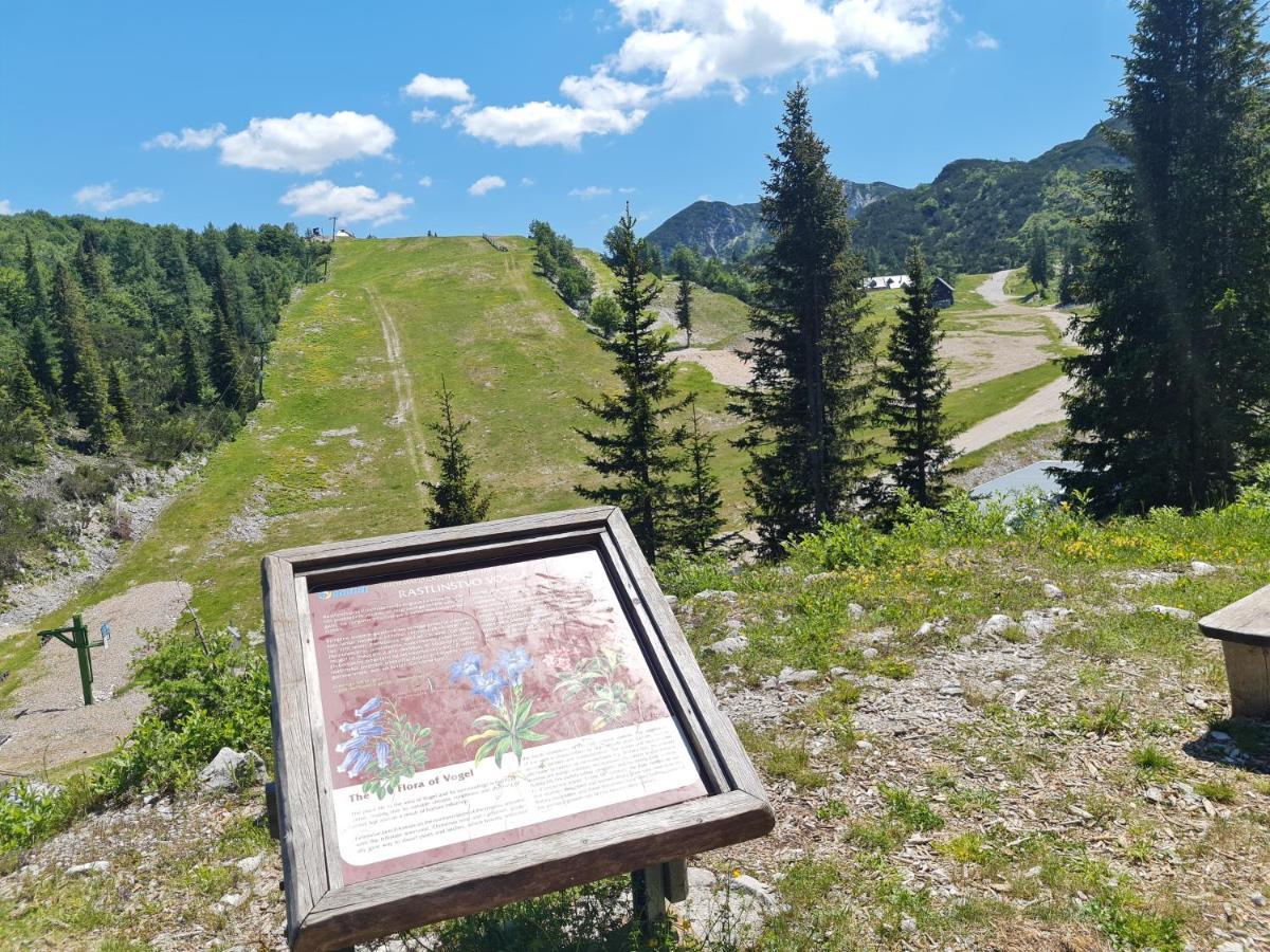 Chalet Burja At Vogel Mountain - Cable Car Access Or Hiking - Not Reachable With Car 보히니 외부 사진