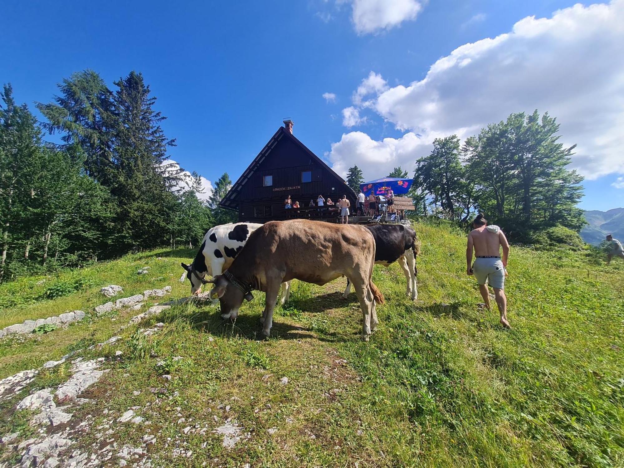 Chalet Burja At Vogel Mountain - Cable Car Access Or Hiking - Not Reachable With Car 보히니 외부 사진